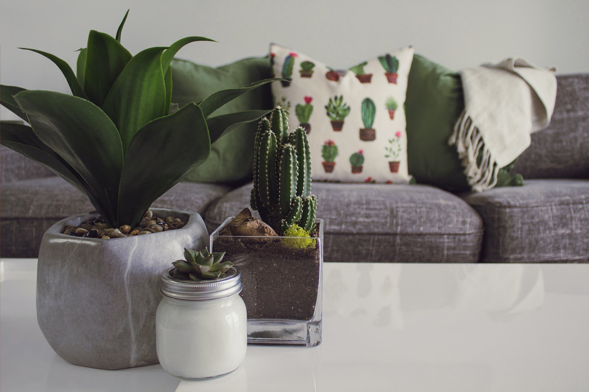 designecologist-csVPdj60E1A-unsplash designecologist-csVPdj60E1A-unsplash